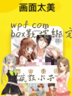 wpf combox数据绑定