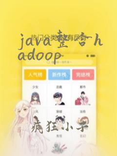 java整合hadoop