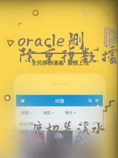 oracle删除重复数据取一条记录