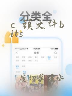 c 头文件bits