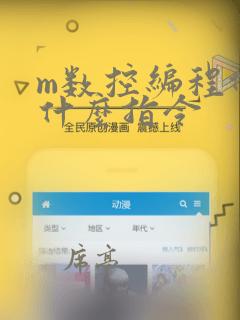 m数控编程代表什么指令
