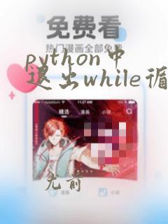 python中退出while循环