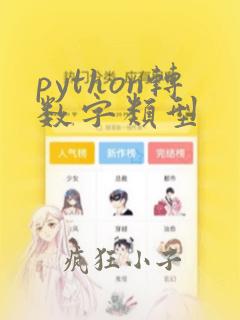 python转数字类型