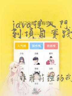 java从入门到项目实践