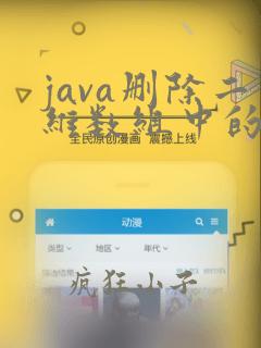 java删除二维数组中的一行