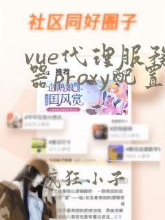 vue代理服务器proxy配置详解