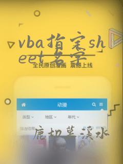 vba指定sheet名字