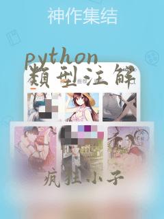 python 类型注解