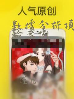 数据分析项目经验案例