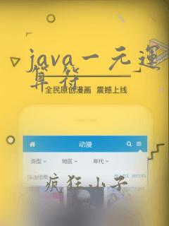 java一元运算符