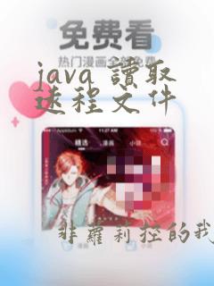 java 读取远程文件