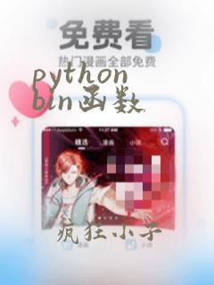 python bin函数