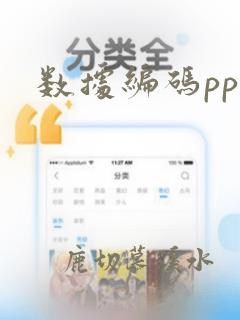 数据编码ppt