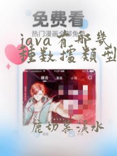 java有哪几种数据类型