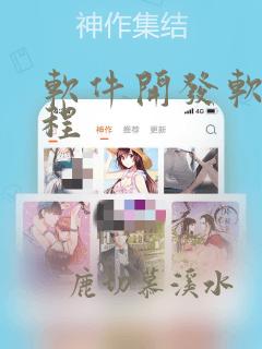 软件开发软件编程
