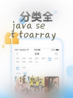 java set toarray