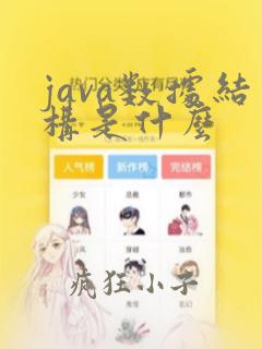 java数据结构是什么