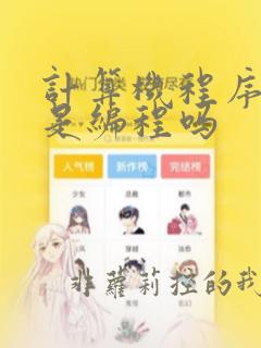 计算机程序设计是编程吗