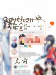 python中指针