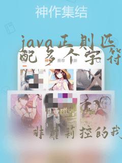 java正则匹配多个字符串