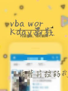 vba workday函数
