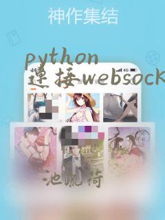 python 连接websocket