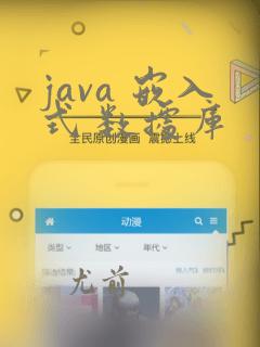 java 嵌入式 数据库