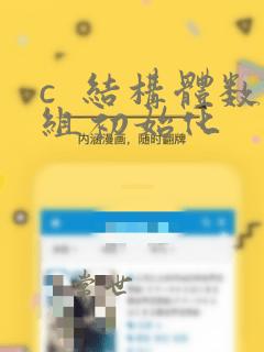 c  结构体数组初始化