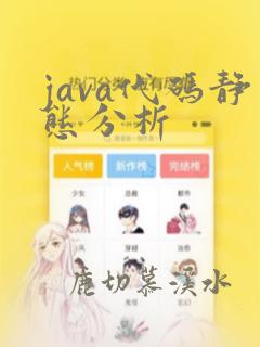 java代码静态分析