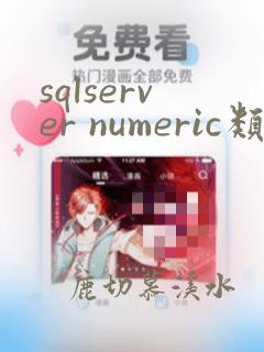 sqlserver numeric类型