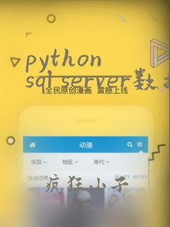 python sql server数据库