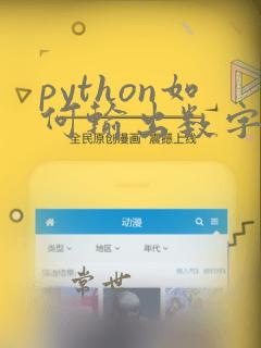 python如何输出数字和字符串