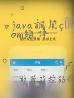 java调用com组件