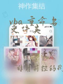 vba 重命名文件夹