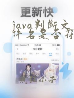 java判断文件名是否符合后缀
