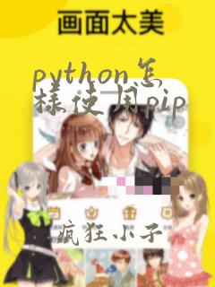 python怎样使用pip
