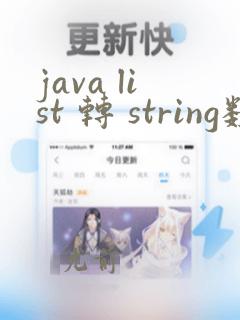 java list 转 string数组