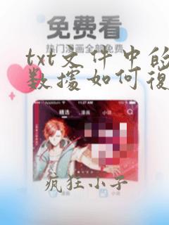 txt文件中的数据如何复制到excel