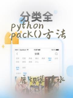 python pack()方法