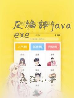 反编译java exe