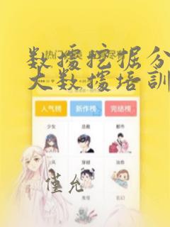数据挖掘分析和大数据培训