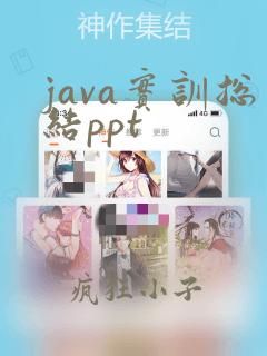 java实训总结ppt