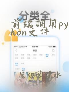 前端调用python文件