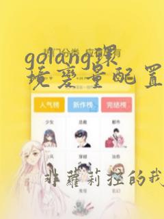 golang环境变量配置windows