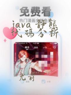 java 静态代码分析