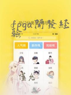fpga开发经验