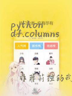 python df.columns