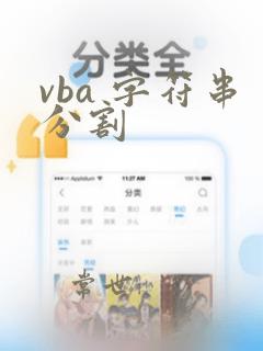 vba 字符串分割