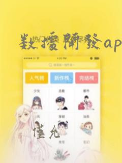 数据开发api