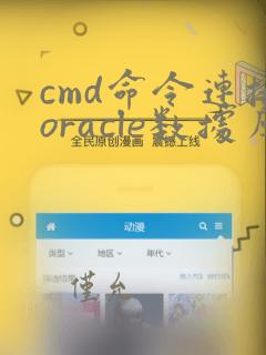 cmd命令连接oracle数据库